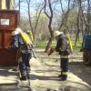 pojar5