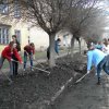 subotnik3