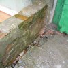 Image00005
