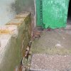 Image00006