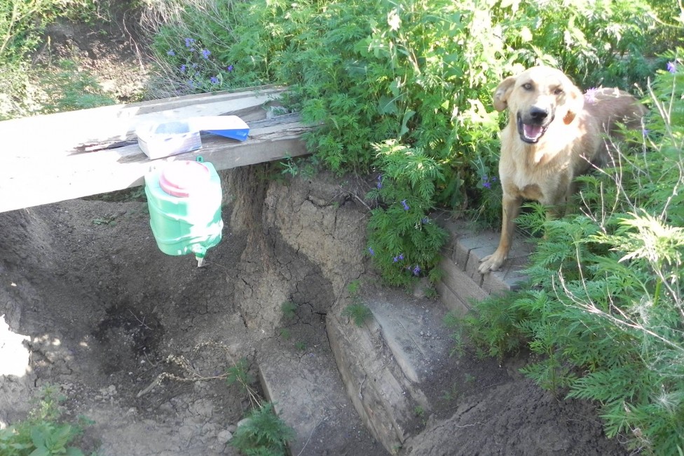 84-31qt0rxr0wok4bmnslltz4