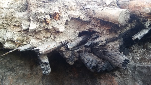 d403294e1bed63e6445a45683a791043