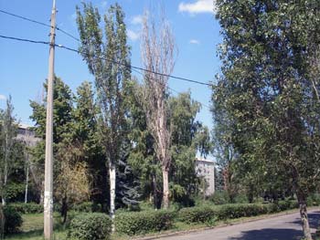 Фото от 28 августа 2011 года 