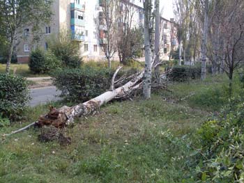 Фото от 15 сентября 2011 года 