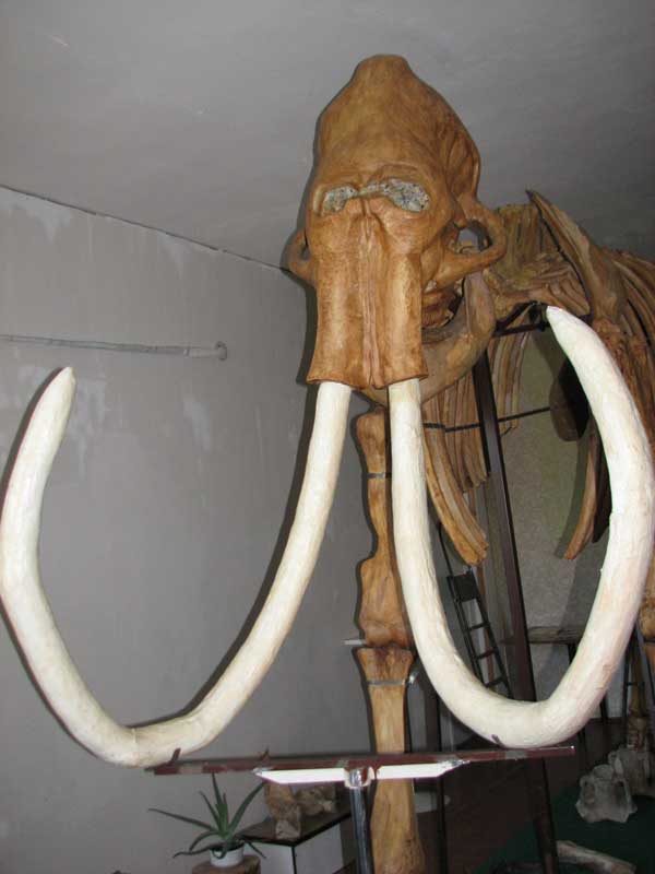 0858