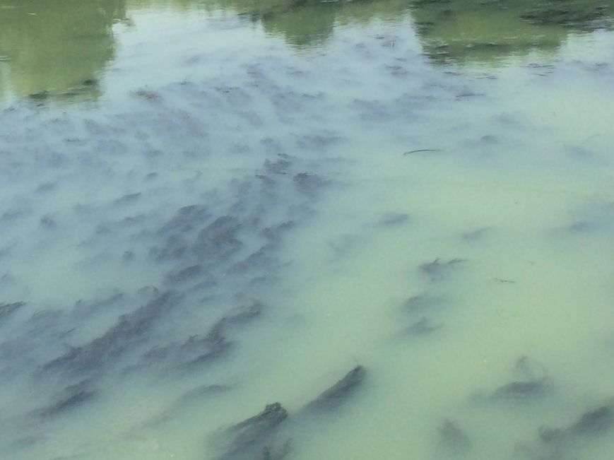 74def6cd1ba2ddfdf8fe3bf48037d3f0