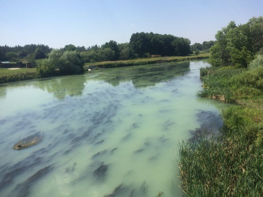 9bf8fb0d2ec72b7dc1a1117c7650f7ce