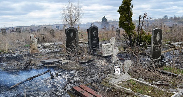 080e9e9f6d1d81c29088198327d0c122