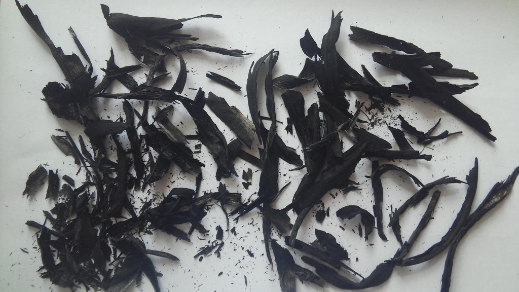 12967541 261582564174757 5797847802833602092 o-1024x576