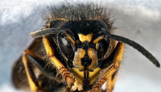 8b887eac207ae78ae7461a18fbca228a