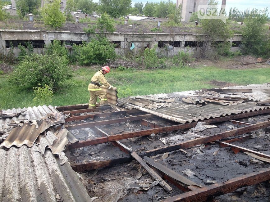 8be0e794020d02278a93864721c16239