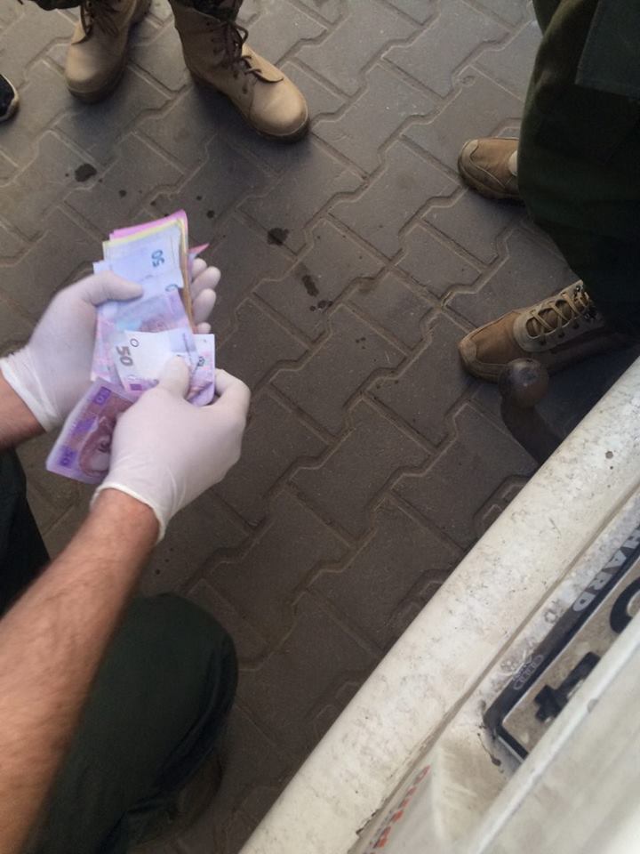 12963524 1754834891413175 6298217933359312816 n