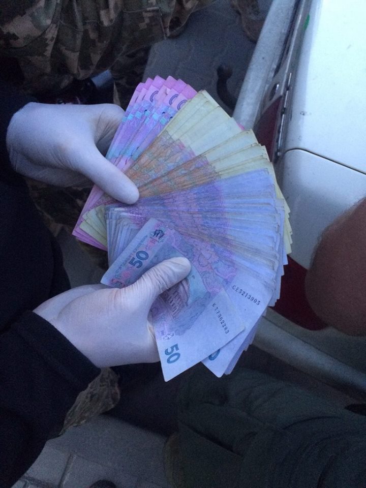 12987060 1754834914746506 2580595689359336980 n