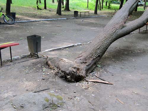 Улица Шкадинова, парк им. Пушкина