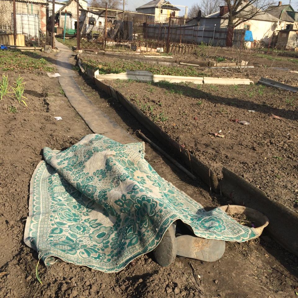 12991048 1136501463068908 102445748264681127 n