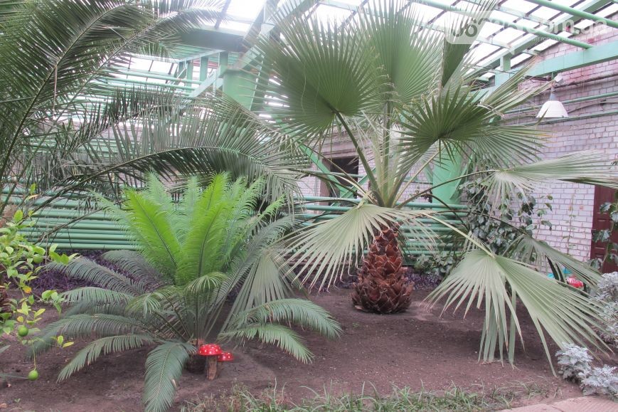 31c731ea1851c61a76f53ae28c8d5326