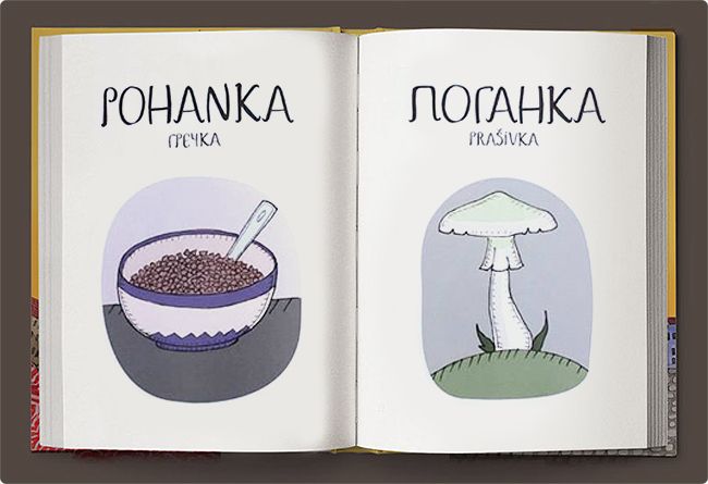 cheshsko-russkij-slovar 06