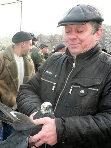 Отдельный интерес у посетителей выставки вызывали голуби, особенно почтово-спортивных пород. Голубя не трудно приручить. Для этого надо подружиться с ним - разговаривать ласковым голосом и, естественно, кормить, чистить его жилище.