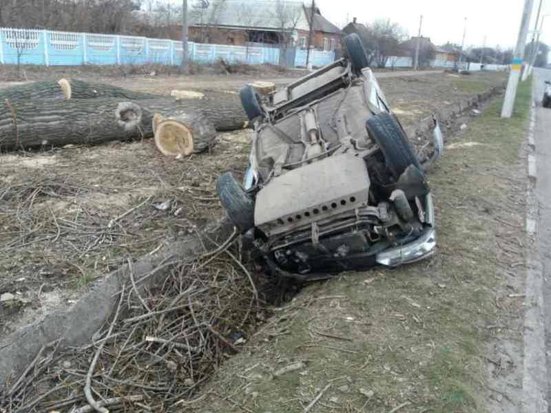 17321482 125119714684922 1177351407 n