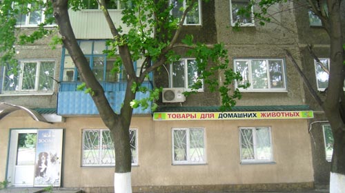 Предположительно из одного из этих  окон был произведен выстрел