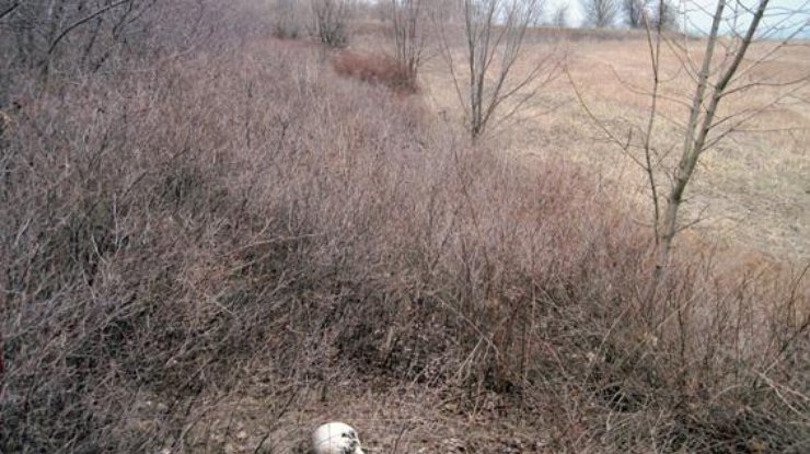 na-donbasse-zhiteli-natknulis-na-chelovecheskij-cherep rect 98d4c64dc1dfeb7f1a6a933a85b4aa41