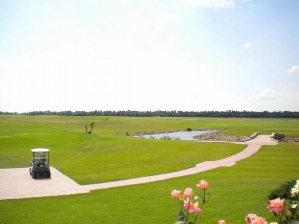 golf-2-31waac97vfnkf7zjf4c0zk