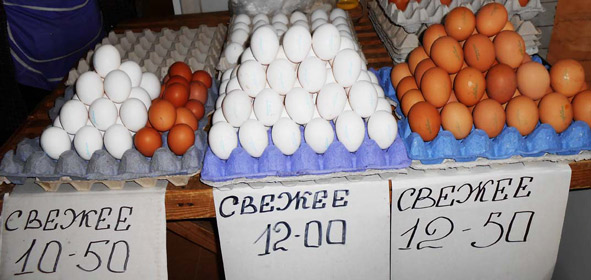egg