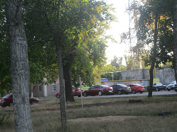merzhanovkubok4