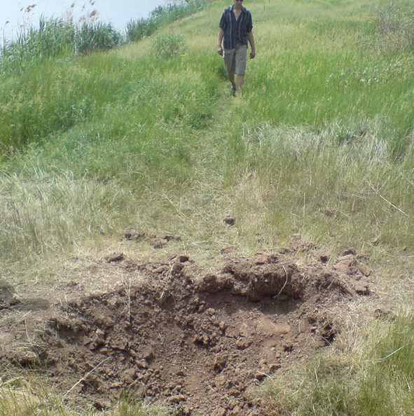 poselokvoronka