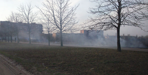 dvorpo0028