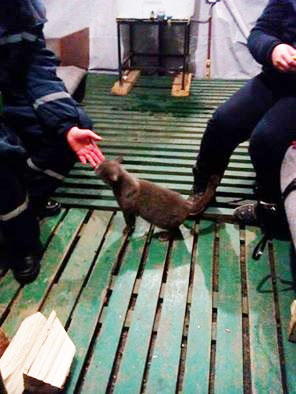 09.jpg 5963 33 1457534845