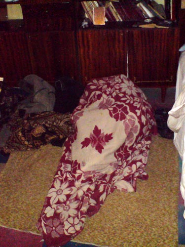 Укутавшись с головой в одеяло, словно в кокон, дымовой спал возле кровати. Возможно, благодаря этому кокону после каждого пожара он восстает, как феникс из пепла...