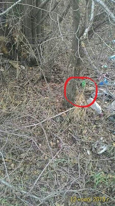 c20b7b1b1c393de7b4ea4478c0d1bd15