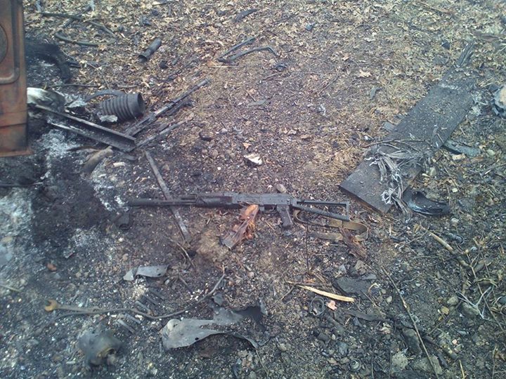 12645234 1573785576279462 7332670406175314414 n