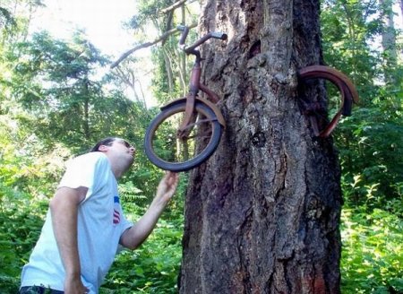 1308644796 hungry-trees-eating-everyday-objects-08