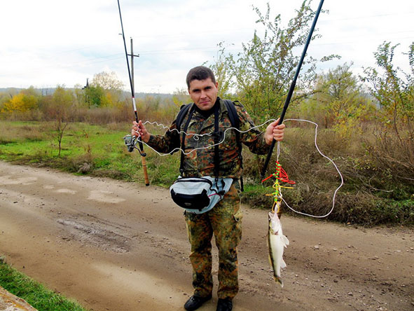 fish