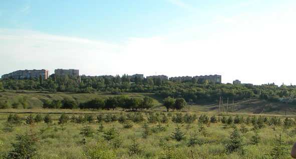 z95