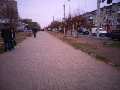blori0485
