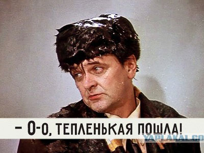 ip8851684