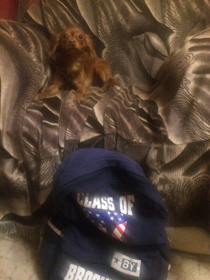 68405201 2334086573342295 304266534199492608 n