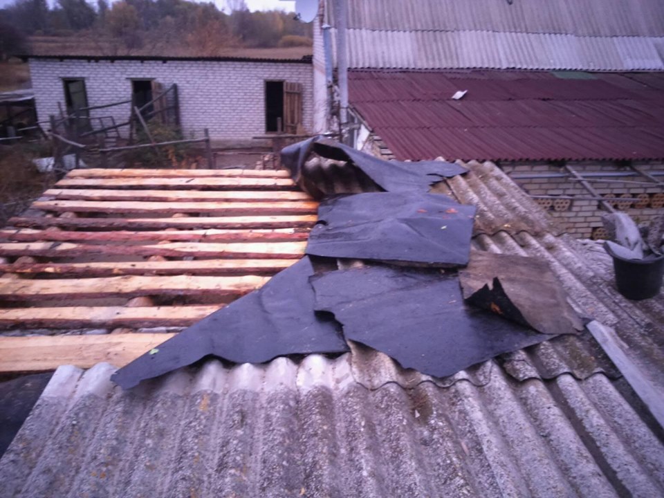 71644049 501174913998052 6973606143587254272 n