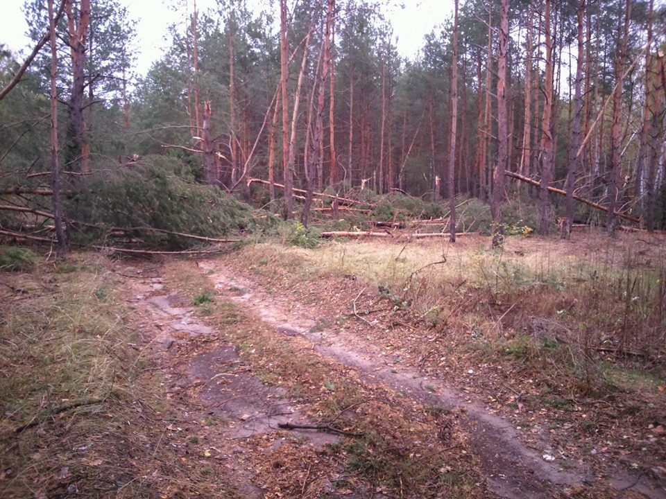 71742242 386166258975324 7053581449705816064 n