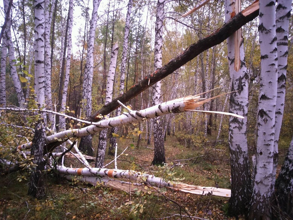 71762429 465122130751067 2556758730972594176 n