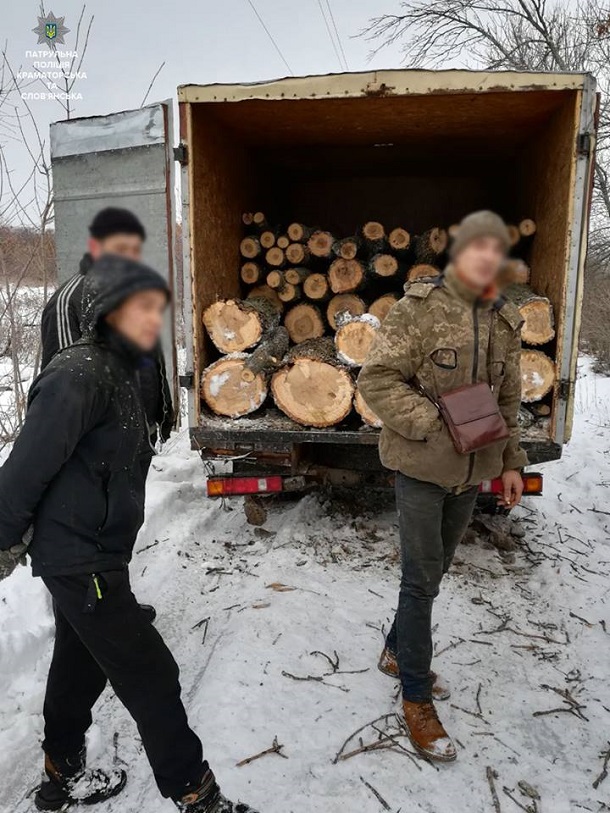 V Kramatorske obnaruzhili nezakonnuju vyrubku zelenyh nasazhdenij 2