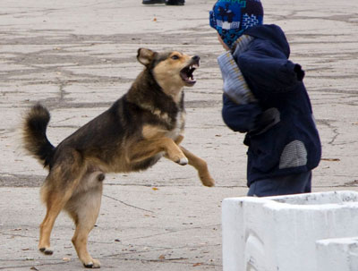 tsutsyk771784293