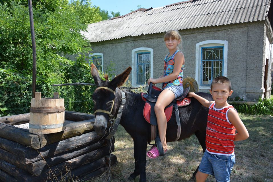 38845502 157089691803544 5154334069462401024 o