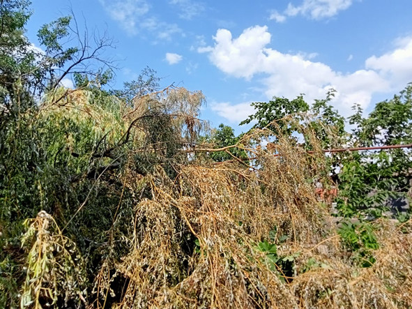 0a0083358 n
