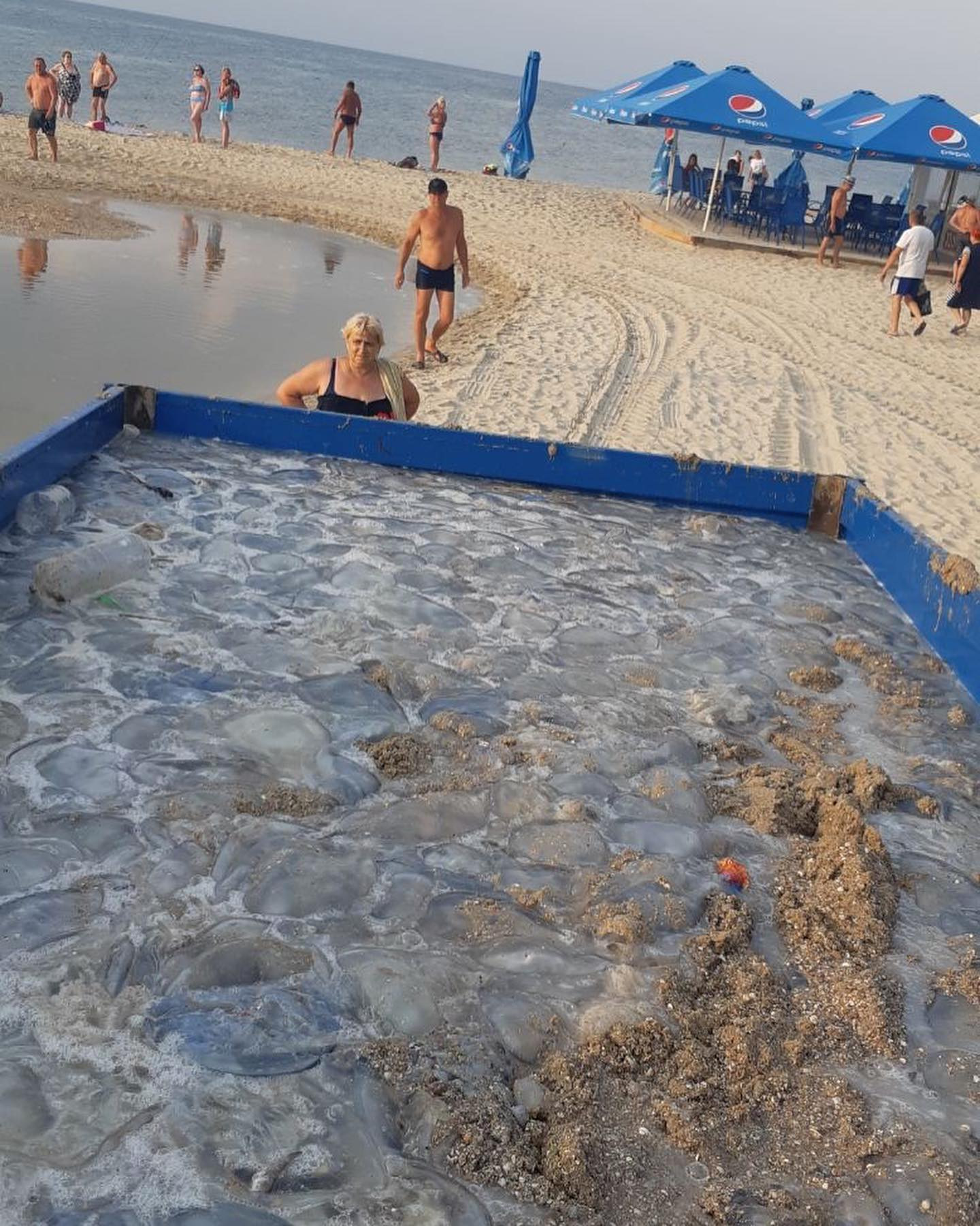 220512424 1446803325678945 9114972790476638778 n