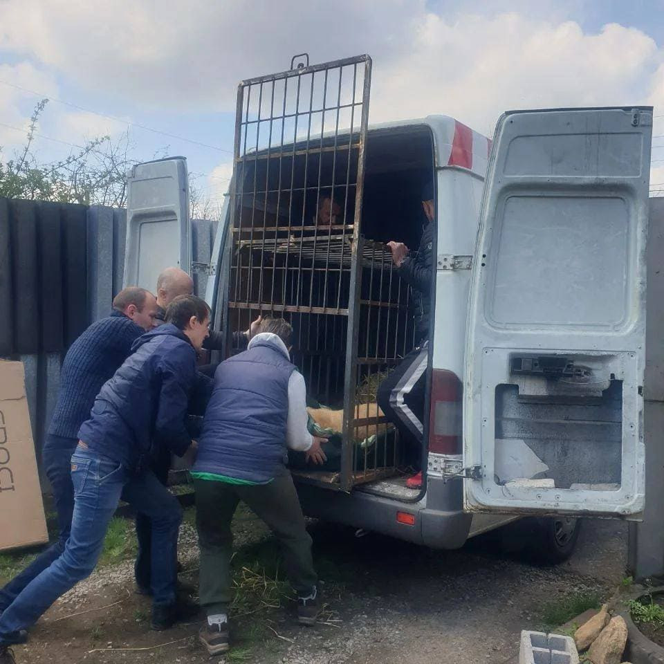 278783838 534756131384873 2816380719148258468 n