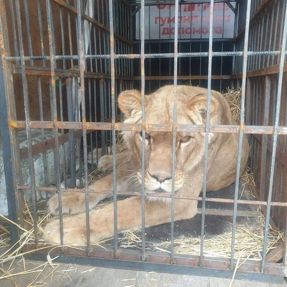 278866134 510359040670849 5215842353678671885 n